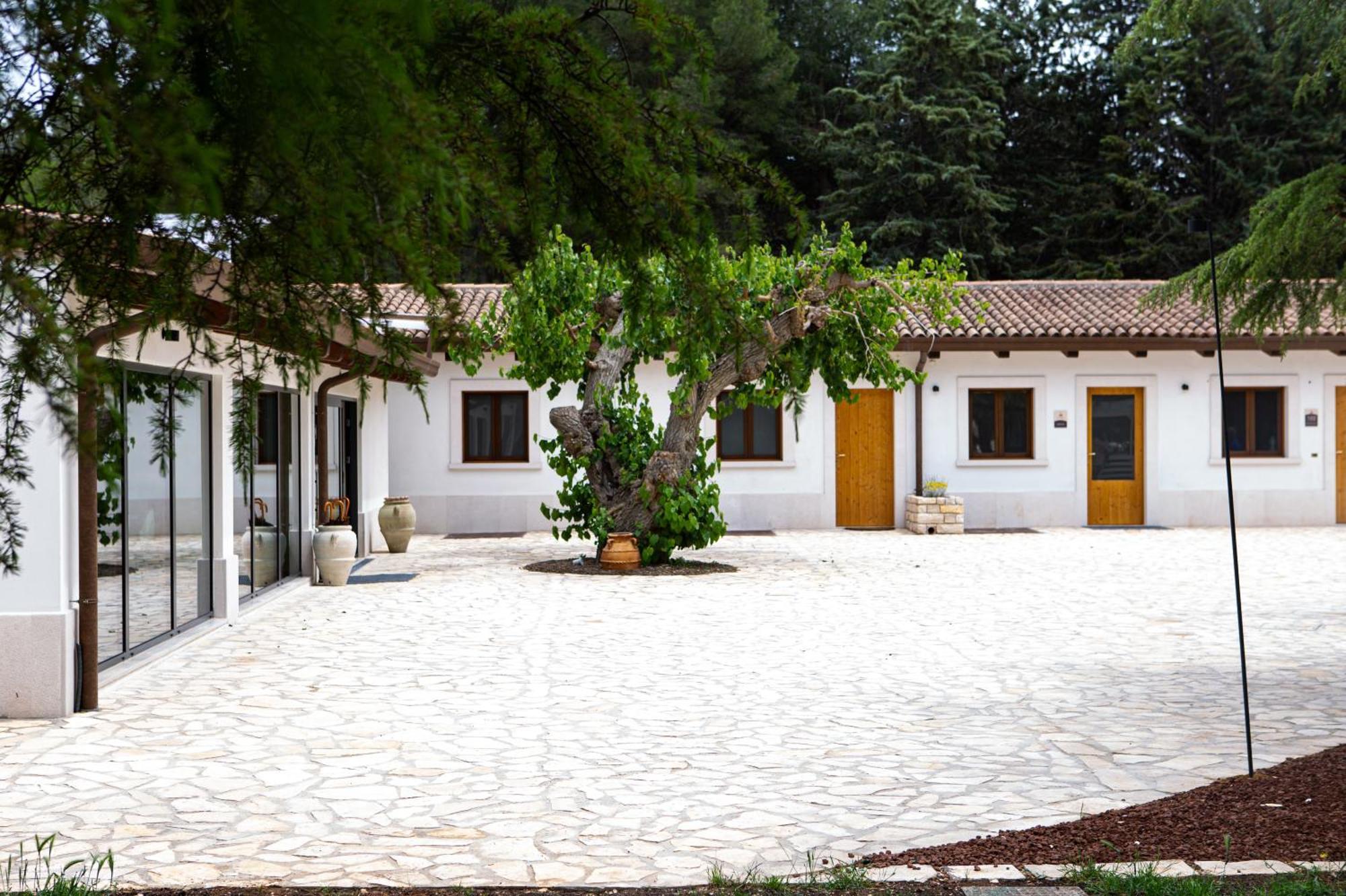 Wine Resort Le Vigne Al Castello 카스텔델몬테 외부 사진